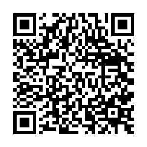 她们也要有能砍断这些傀儡堪比宝器一样坚韧的身体手段才行二维码生成