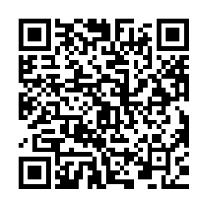 她们其实都可怀疑……夫君是不是外域那种大派为主的邪道道法二维码生成