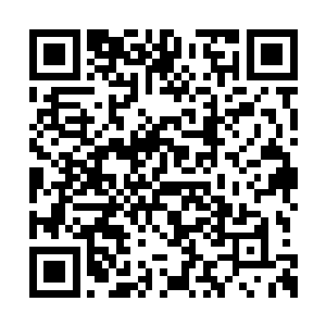 她们到现在依旧不肯承认自己没有牛羊这个现实二维码生成