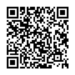 她们即使非常着急想要亲身实验一把也得按个来二维码生成