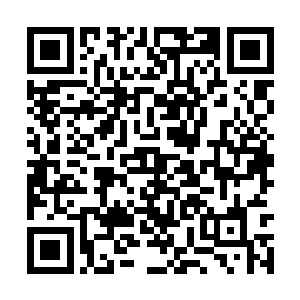 她们只是单纯地觉得凤羽珩跳不跳舞一点用都没有二维码生成