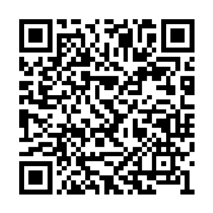 她们只是比这些男生们稍微迟钝了零点零一秒钟二维码生成