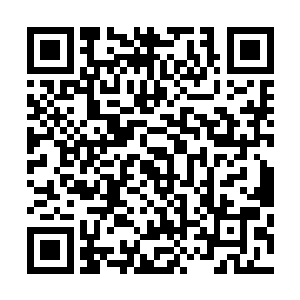 她们听说我和我的学生要在山上的宾馆过夜明天早上看曰出二维码生成