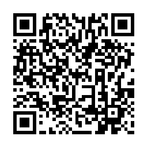 她们家族长大人也只是狼王范儿稍稍的折损了点二维码生成