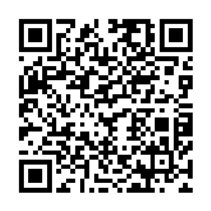 她们就看到有一只约摸成人大拇指大小的虫子从树上爬下来二维码生成