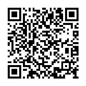 她们就都知道了我在医院刚刚处理好伤口没多久二维码生成