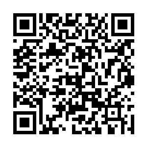 她们应该跟凤还楼里那位修炼成痴的公子有些关联二维码生成