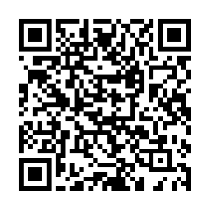 她们当然不知道天城有一套强大到离谱的仙家制造线二维码生成