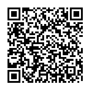 她们或许不懂语文不会数学不知道墨菲法则不知道今年新当选的足球先生二维码生成