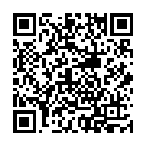 她们是少有的给了自己一份信任与温暖的归属之情二维码生成