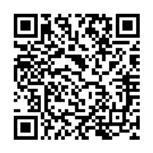 她们是怕和自己提起来这个名字就会让自己变得难过二维码生成