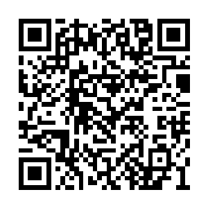 她们没想到夏天居然敢叫出一亿五千万这种高价二维码生成