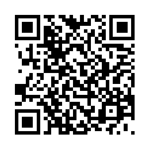 她们移动的速度比人类的快上十倍不止二维码生成