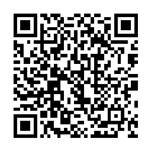 她们衣服上的各种银饰在早晨的阳光下反射着亮闪闪的光二维码生成