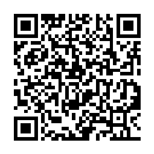 她们迅速扶着装着大角的机械担架向紧急医务室跑去二维码生成