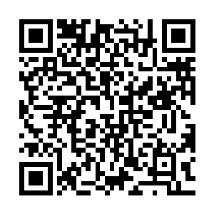 她们还可以把梦境之森范围内的死者灵魂直接转换成新生的木灵二维码生成
