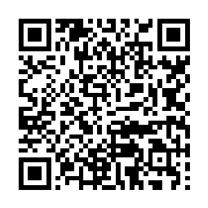 她们还能有一条活路罢…………用不着和自己同殉二维码生成