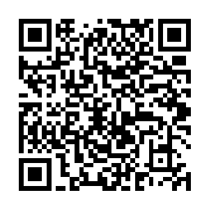 她们都是从现实世界中各个人类居住星球送来辅佐他的二维码生成