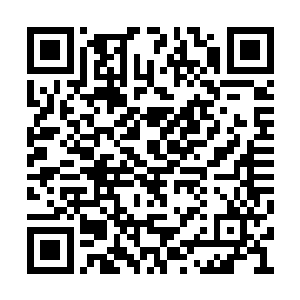 她们都说是因为你她才有了成为天使模特的机会二维码生成