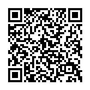 她会不遗余力地帮助他得到他命中该得的一切的二维码生成