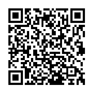 她伸手一巴掌把龙尊昂到她面前的蟒蛇头给挥开二维码生成