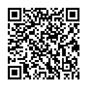 她伸手将那红色的锦囊小心翼翼地戴在了自己的脖颈之上二维码生成