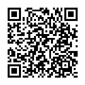 她伸手直接用灵力包裹住这一方的翡翠泥土把它们放入了玉盒中二维码生成
