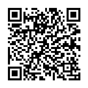 她似乎和你们青脉属性非常兼容……接下来要是来追杀你们二维码生成