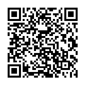 她似乎正在渐渐具备一种凌驾于天地规则之上的能力二维码生成