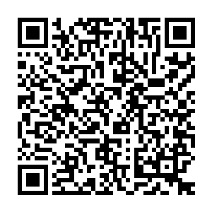 她似乎获得了洞穴之中知识……可是我根本就没有办法进入那山谷之中二维码生成