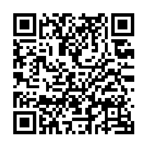 她作为李奇的妻子在这方面还是要尊重李奇的意见二维码生成