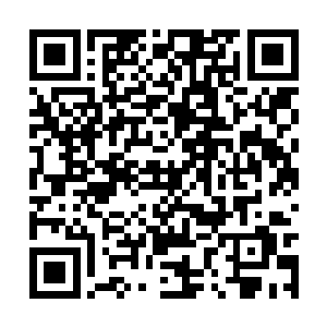 她依然很自律地把一切工作都井然有序地安排好了二维码生成