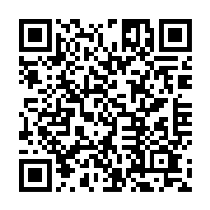 她便从背包中扯出一截干枯如树干一样的东西啃了起来二维码生成