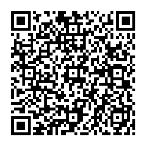她便见到那个一直对他们卑躬屈膝前倨后恭谄媚阿谀的大汉武者一掌刀砍在姚河的颈脖上二维码生成