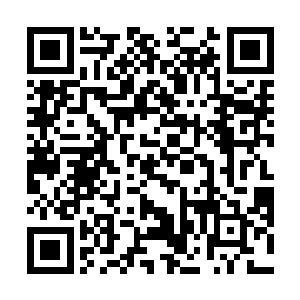 她信任的林子在这些事情中担任了一个很不光彩的角色二维码生成