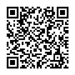 她倒是很仔细地观察着费洛跟唐亦森对峙的一举一动二维码生成