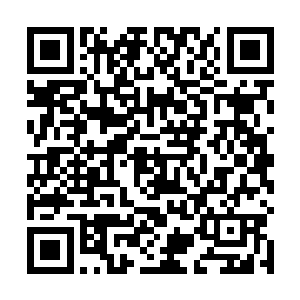 她倒要看看凤君曜是不是和他那个无能的爹一样的痴情二维码生成