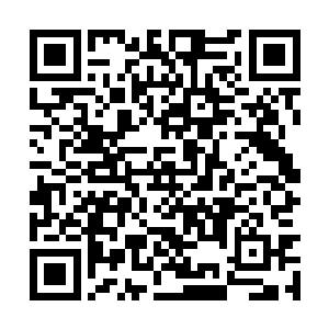 她倒要看看这位天之骄子如何教训她这位风族姑爷二维码生成