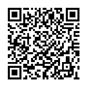 她借助富贵和大花的超级力量阻止了小羊的死亡二维码生成