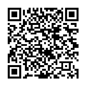 她做的那些准备和今天特意的妆容不都是为了这一刻吗二维码生成