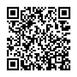 她像是在暴风雨来袭的大海上胡乱挣扎求生的人二维码生成