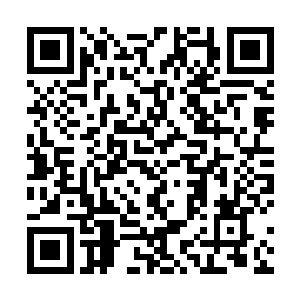 她像是溺水的人抓住唯一的救命稻草那样抓住医生的手二维码生成