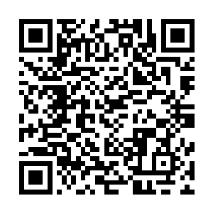 她先是在阵一的指点之下向着大阵之内扔着一颗颗极品仙晶二维码生成