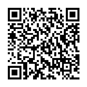 她先是翻看了一下从二哥那本书上抄来的五个基础法术二维码生成