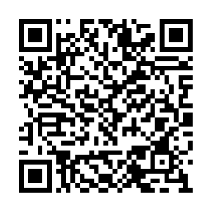 她全身的细胞都在暗示她这次站在门口的人是谁二维码生成