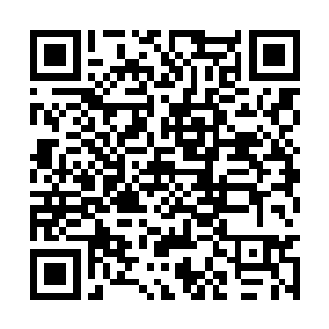 她公司的人跟我说卿卿前几天就已经被公司开除了二维码生成