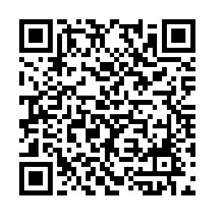 她其实很想一记法术杀死眼前这个心狠手辣的少年二维码生成