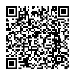 她其实早已从旁人的口中知道有这么一个钢琴王子似的人物的存在二维码生成