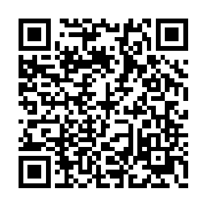 她其实觉得小孩子小时候吃点零食倒是没什么的二维码生成