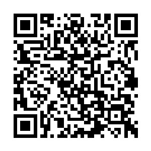 她再傻也不会亲自送您最不喜欢的茶叶给你吃呀二维码生成